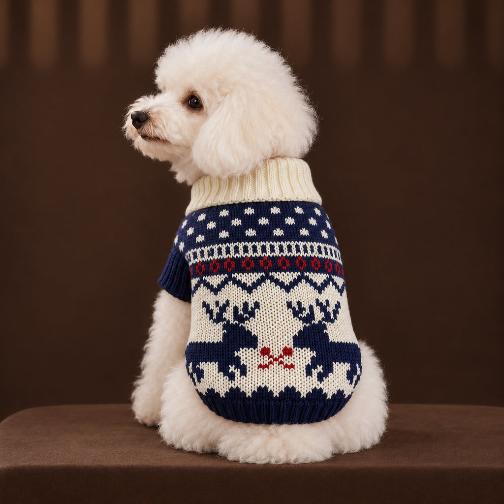 White toy poodle seen from behind in the navy and cream sweater with two navy reindeer
