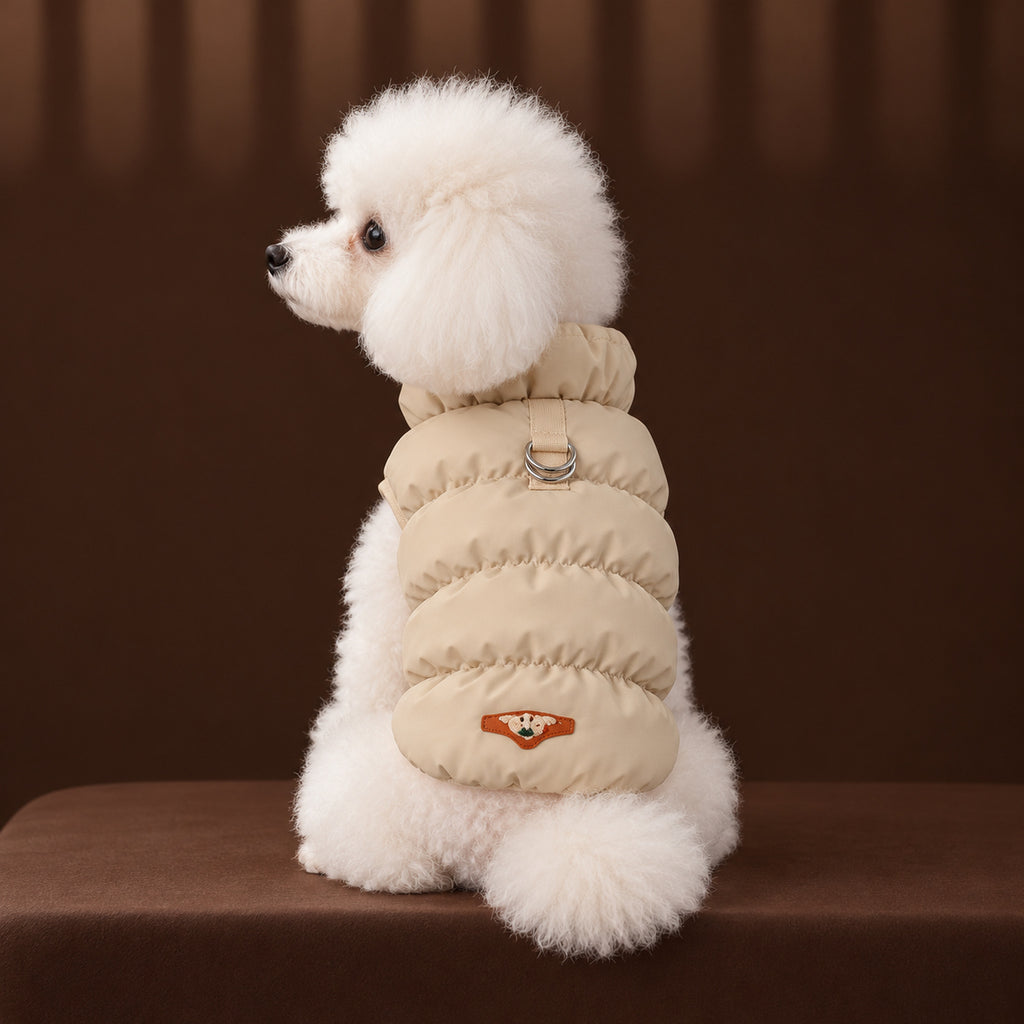 White toy poodle in the khaki padded coat, seen from behind