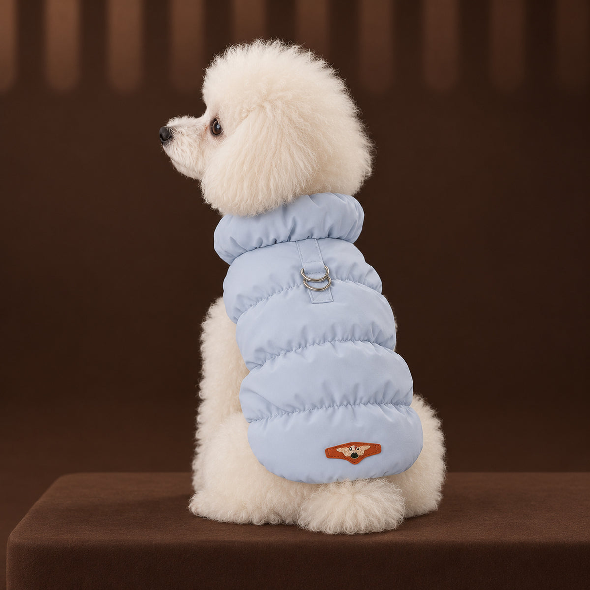 White toy poodle in the light blue padded coat, seen from behind