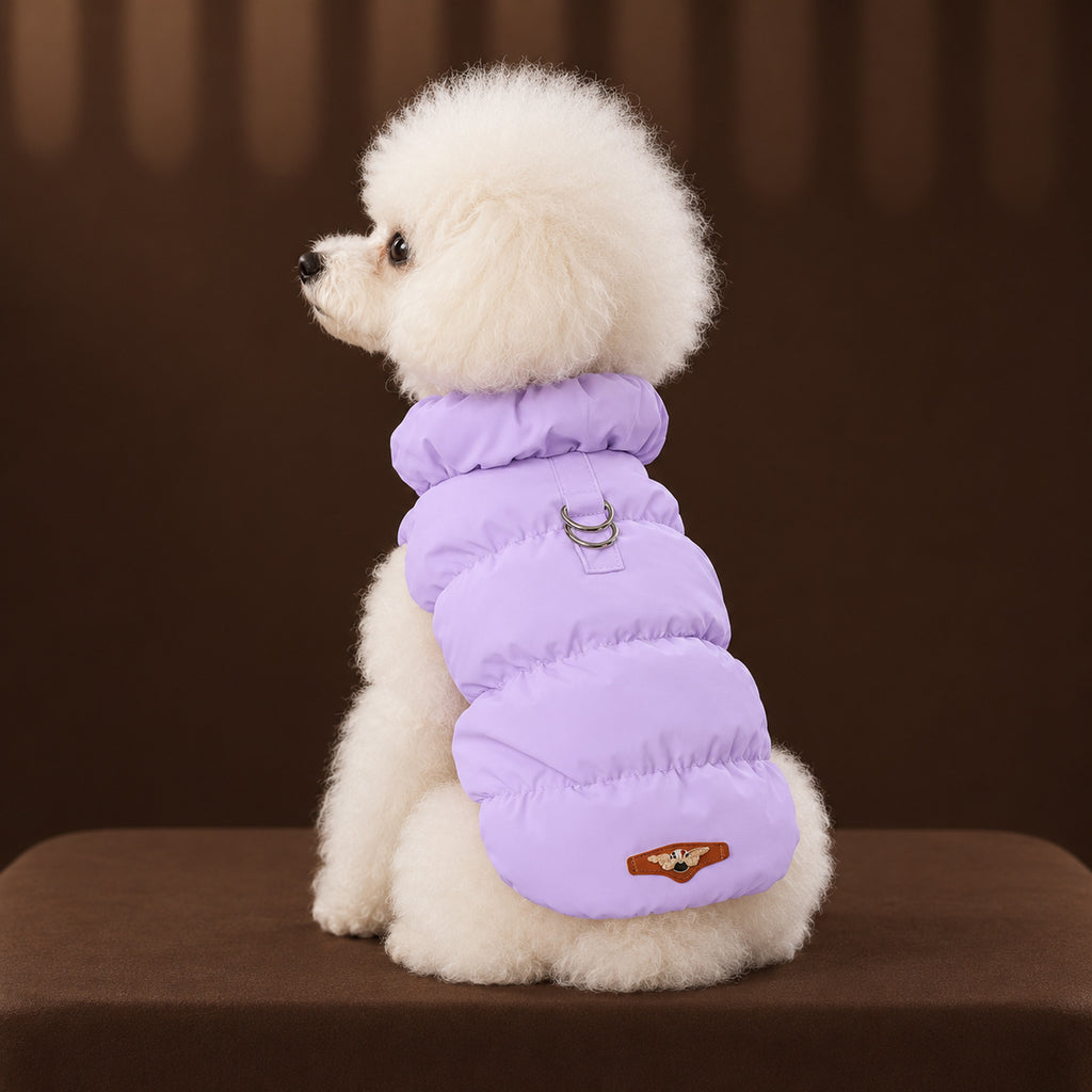 White toy poodle in the lavender padded coat, seen from behind