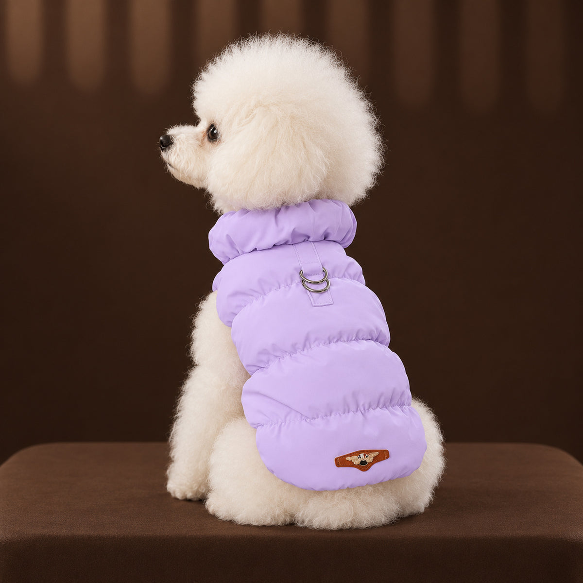 White toy poodle in the lavender padded coat, seen from behind