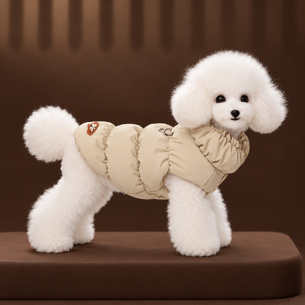 White toy poodle standing in the khaki padded coat